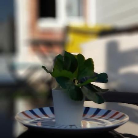 Le Chat Bleu - 26M2- Terrasse Sur Les Toits - Wi-Fi Amiens Bagian luar foto
