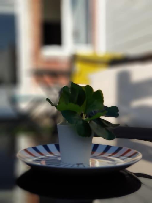 Le Chat Bleu - 26M2- Terrasse Sur Les Toits - Wi-Fi Amiens Bagian luar foto